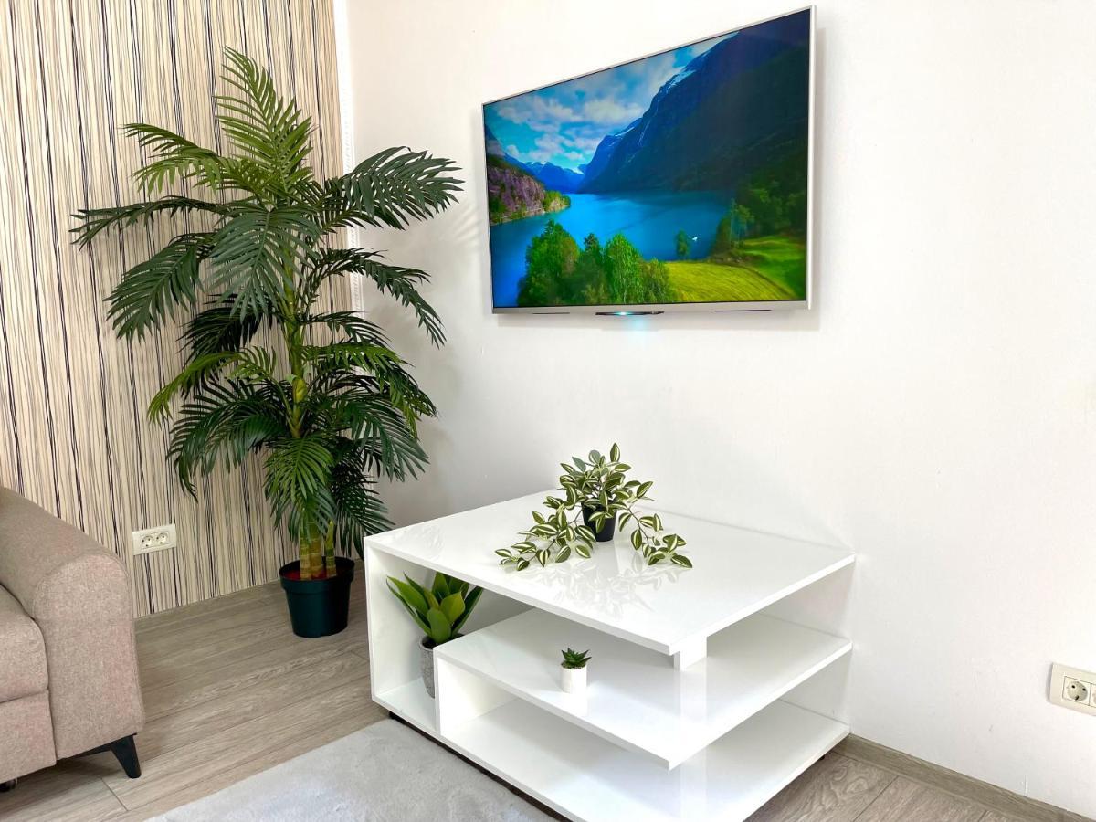 Cosy Place To Apartment Timisoara